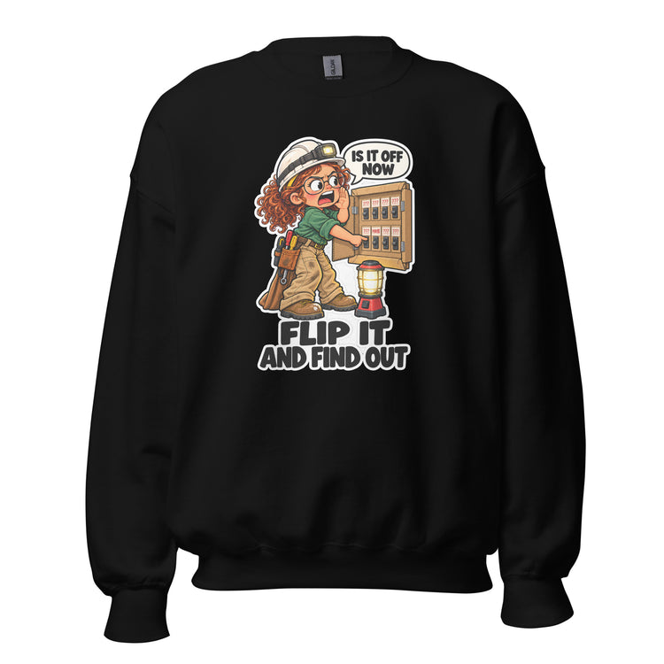 Circuit Cindy "Flip It and Find Out" design